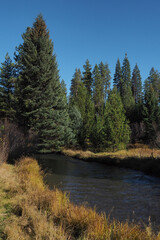 A beutiful river runs through the Oregon forest on a nice fall day.