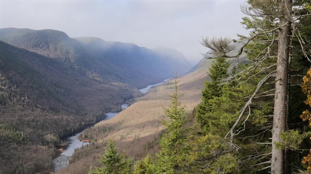 Drone Aerial View of Jacques Cartier River Flowing Through Forested Valley