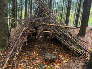 A survival shelter or den constructed from interwoven tree branches and sticks, located in a damp forest. The ground is covered with fallen autumn leaves and two small tree stumps sit at the entrance.