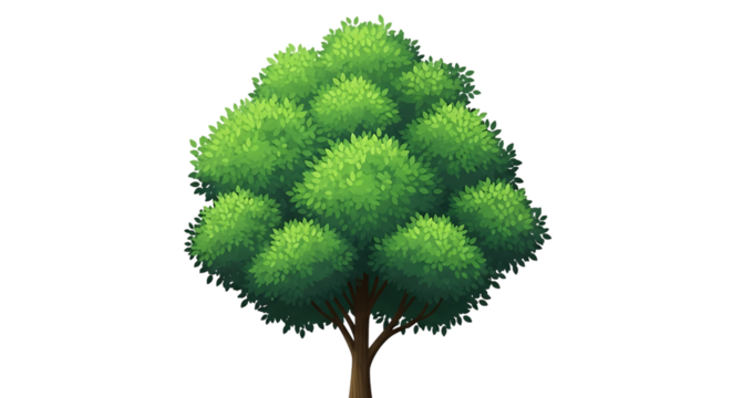 Stylized Green Deciduous Tree, with brown trunk and branches, isolated on white or transparent background, PNG