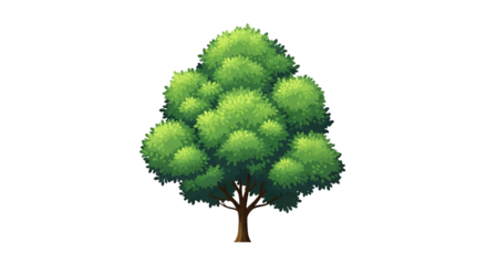 Lush Green Deciduous Tree, with detailed foliage and brown trunk, isolated on white or transparent background, PNG