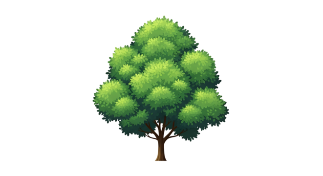 Lush Green Deciduous Tree, with detailed foliage and brown trunk, isolated on white or transparent background, PNG