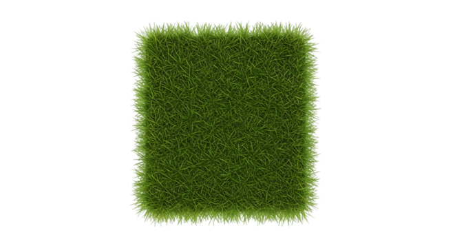 Square Patch of Lush Green Grass, with detailed blades and textured edges, isolated on white or transparent background, PNG