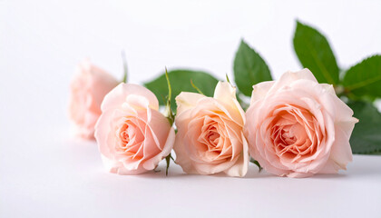 Soft Pink Roses and Petals on a Delicate Light Background. Generated Image