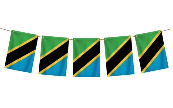 Celebrate national pride with vibrant Tanzanian flag bunting, perfect for festive events and cultural displays.