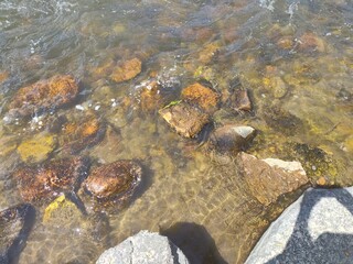 Rocks in the river 