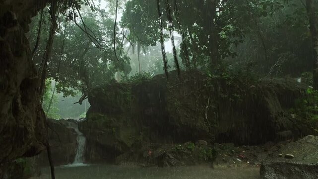 Lush tropical rainforest with during heavy rain, nature exploration and adventure background, 4k