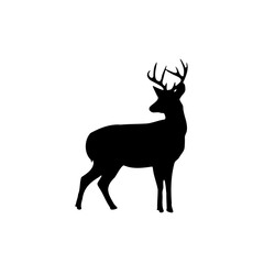 A silhouette of a deer with antlers standing on a white background in full body view with a simple design