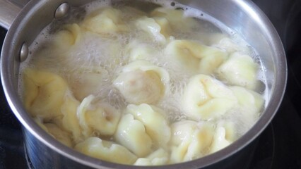 Tortellini with parmesan, ready to eat, Italian ravioli pasta with spinach and ricotta on white table, traditional italian food with herbs and vegetables