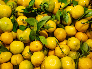 Full frame close-up of freshly picked mandarins or small oranges with attached green leaves, creating a vibrant yellow and green background.