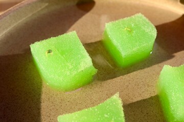 スポンジから発芽したチマサンチュの芽。