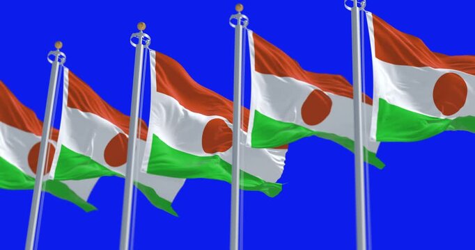 Niger national flag waving isolated on blue background