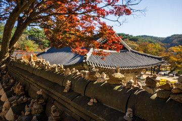 Stone Piles on Korean Tiled Wall under Autumn Foliage