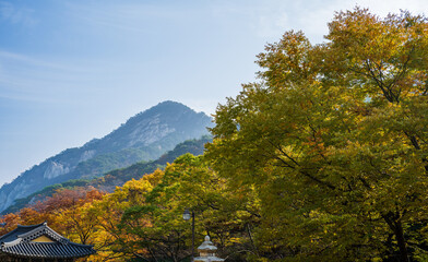 Autumn Mountain Ridge with Traditional Roofline