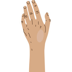 A detailed illustration of a human hand with a light brown skin tone and visible veins against a clean white background showcasing a transparent design