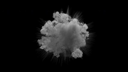 Shockwave smoke explosion. Steam or dust wave animation. Alpha channel is embedded