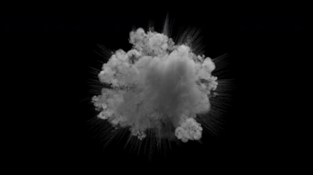 Shockwave smoke explosion. Steam or dust wave animation. Alpha channel is embedded