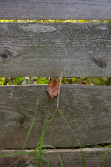 old wooden fence with a black background. texture.
