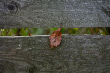 old wooden fence with a black background. texture.