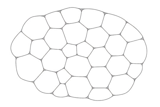 Outline of soccer ball pattern in an abstract transparent design. Representing football, sport, game, and competition - Powered by Adobe