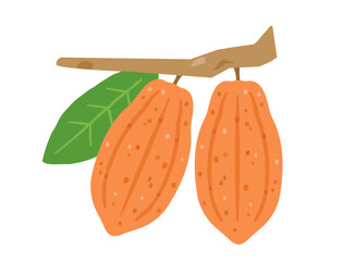 オレンジ色のカカオの実をイメージしたイラスト