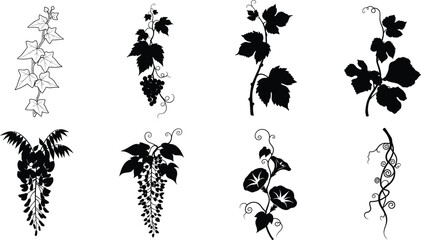 Collection of elegant climbing vine and foliage vector illustrations showcasing decorative leaves, floral tendrils, and botanical silhouettes in detailed black and white ornamental design © MdMosarof