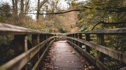 Obraz premium Tranquil Wooden Bridge Over Pathway Surrounded by Lush Greenery and Autumn Leaves in a Peaceful Forest Scene