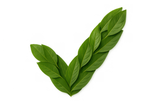Green leaves forming check mark symbol on transparent background representing eco-friendly, sustainable, nature approval concept - Powered by Adobe