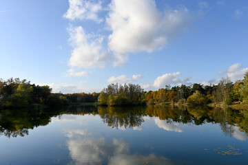 Nature landscape with lakes and pine trees woods near Veldhoven and Waalre, Kermpen forests,...