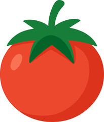 tomato vector illustration