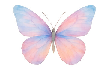 Fototapeta premium Delicate watercolor butterfly illustration with pastel pink and blue wings, flying insect, transparent background for design