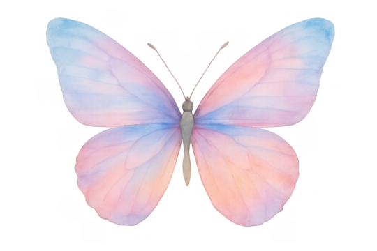 Delicate watercolor butterfly illustration with pastel pink and blue wings, flying insect, transparent background for design