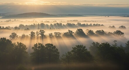 Golden Sun Rays Piercing Ethereal Morning Mist Over Forest Canopy, Tranquil Landscape View.