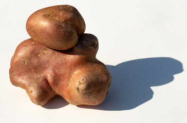 A strangely shaped potato on a white background.
