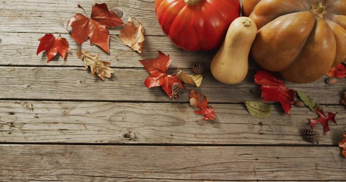 Fototapeta Sitting pumpkin gourd cluster on right of aged wooden planks, leaves and acorns, copy space