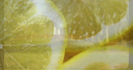 Showing translucent sliced lemons dominating frame at park, revealing membranes, rind, tree path