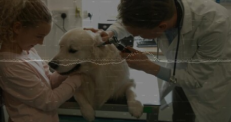 Examining veterinarian in white lab coat leaning over golden retriever on exam table, with otoscope
