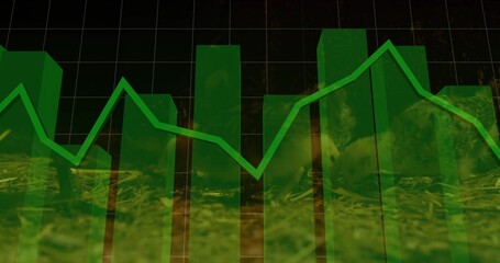 Displaying translucent green 3D bars on dark grid chart, showing bright polyline and grass texture © vectorfusionart