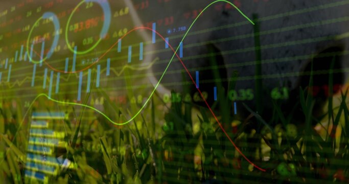 Overlaying clear candlestick chart over grass field at day, showing volume bars and tick labels