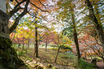 Autumn color at Kogenji temple in Tanba, Hyogo prefecture, Japan
