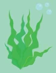A vector art of underwater seaweed. 