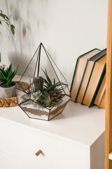 Florarium with books on chest of drawers near light wall