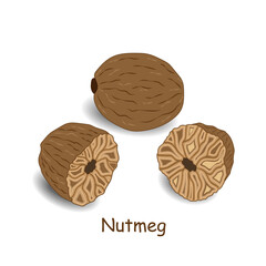Nutmeg (spice) isolated on a white background