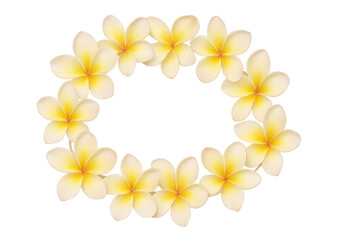 Obraz premium Plumeria flower wreath forming a tropical circle frame, featuring yellow frangipani blossoms with a transparent background