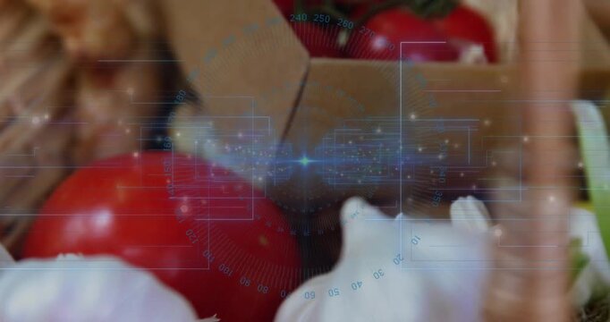 Camera panning right, revealing garlic and vine tomatoes in cardboard box, HUD showcasing produce