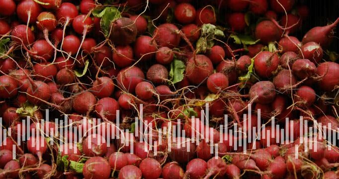 Radish pile filling frame, waveform animating across lower third, responding to audio playing