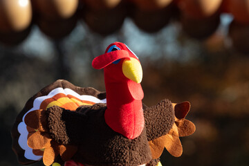 Festive and creative Thanksgiving Turkey Trot hats