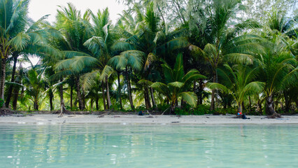 Tranquil beach scene on Koh Kood Island with lush palm trees and clear water