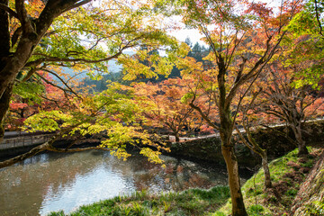Colorful autumn leaves in Entsuji temple in Tamba, Hyogo, Japan