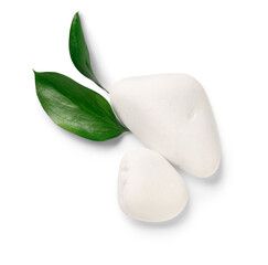 Spa stones with plant leaves on white background